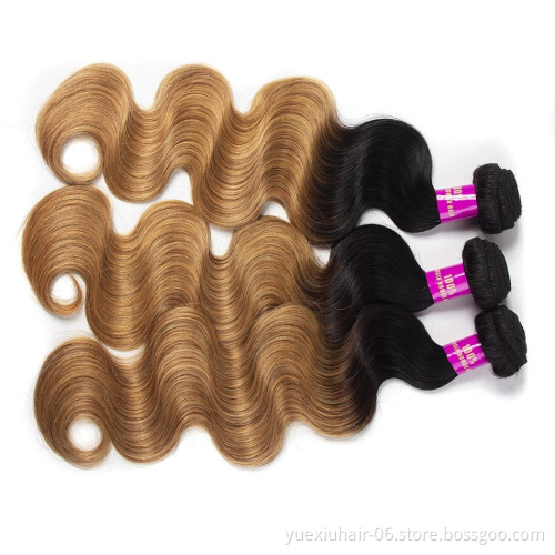 CELIE Body Wave 1B/27 Ombre Women Human Hair Mink 100% Virgin Hair Good Quality Human Hair Bulk